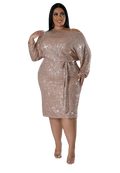 SPARKLE CURVY  DRESS image 0
