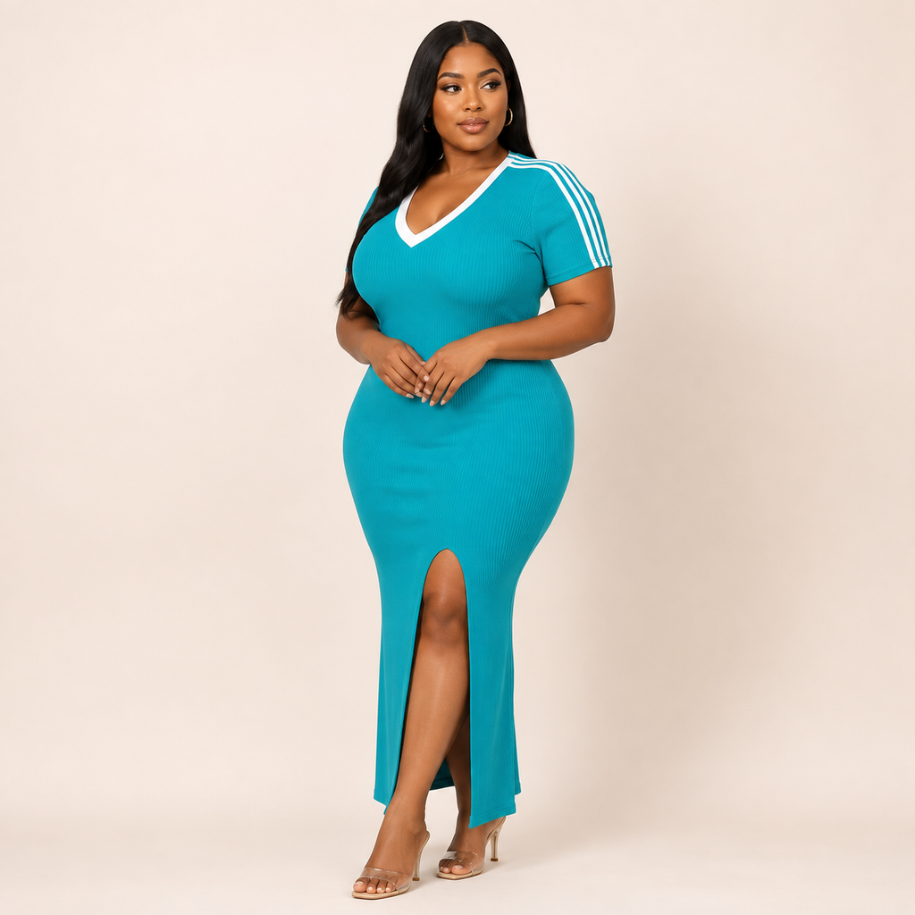 SASHA CURVY DRESS